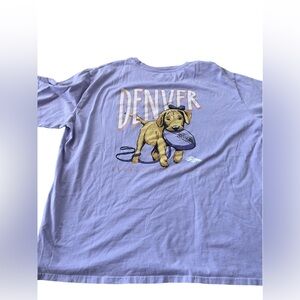 COPY - Denver broncos